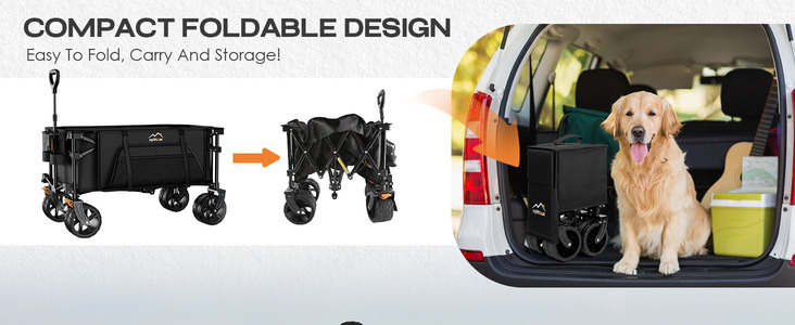 Pasted Image